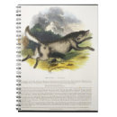 Pesquisar por 1903 escritorio escola Animais