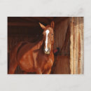 Pesquisar por cartão de comércio cartoes postais Foto