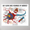 Pesquisar por nervo pósteres Neurônio