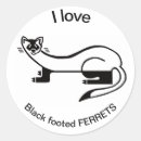 Pesquisar por ferret adesivos Vida selvagem