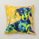 Pesquisar por doxie Azul