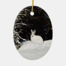 Pesquisar por coelho branco ornamentos Para todos