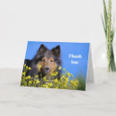 Pesquisar por sheepdog cartoes Miniature collie