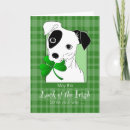 Pesquisar por jack russell terrier cartoes Engraçado