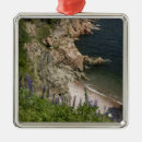 Pesquisar por pitoresco ornamentos Remoto
