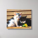 Pesquisar por flores bonito impressão de canvas Gato