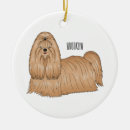 Pesquisar por shitzu ornamentos Cão