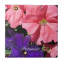 Pesquisar por rosas roxos azulejos Floral