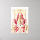 Pesquisar por corpo humano impressão de canvas Fundo branco