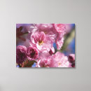 Pesquisar por flor cerejeira japonesa de impressão de canvas Rosa