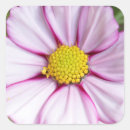 Pesquisar por close up adesivos Campo