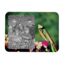 Pesquisar por animals imas Para ela