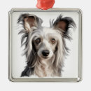 Pesquisar por cartoon ornamentos Cão