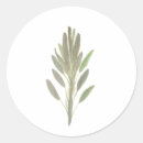 Pesquisar por culturas adesivos Planta