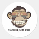 Pesquisar por monkey adesivos Diversão