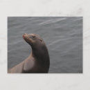 Pesquisar por selo postal da vida Focas
