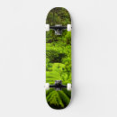 Pesquisar por samambaia skates Natureza