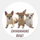 Pesquisar por da chihuahua adesivos Animais