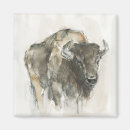 Pesquisar por búfalo imas Bison