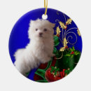 Pesquisar por cão maltês ornamentos Filhote de cachorro