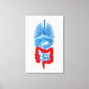 Pesquisar por pulmão impressão de canvas Transparente