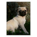 Pesquisar por pug da jovem corça cartoes cartoes postais Filhote de cachorro