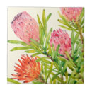 Pesquisar por flores tropicais azulejos Tropical