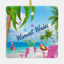 Pesquisar por pássaros coloridos ornamentos Praia