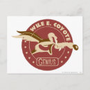 Pesquisar por wile e coyote cartoes postais Looney tunes coyote