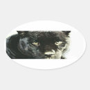 Pesquisar por panteras pretas adesivos Animais selvagens