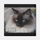 Pesquisar por lolcat Humor