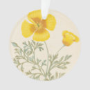 Pesquisar por ilustração botânica ornamentos Flor