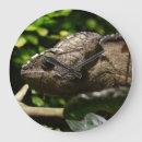 Pesquisar por arte do camaleão relogios de parede Animal