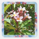 Pesquisar por plantas tropicais adesivos Para ela