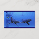 Pesquisar por bezerra cartao de visita Bezerro