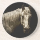 Pesquisar por cavalo preto porta copos Fotografia