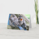 Pesquisar por aves canoras cartoes Obrigado