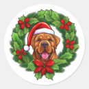 Pesquisar por alvenaria adesivos Canino
