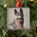 Pesquisar por usa ornamentos Animal
