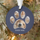 Pesquisar por pé ornamentos Para pets