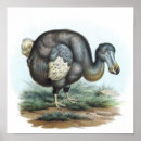 Pesquisar por pássaro do dodo Vintage
