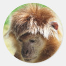 Pesquisar por bonito macaco adesivos Qualquer pessoa