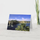 Pesquisar por sailing cartoes Photography