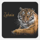 Pesquisar por tiger adesivos Safari