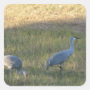 Pesquisar por crane adesivos Natureza