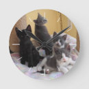 Pesquisar por gatinho relogios de parede Fofofo