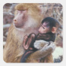 Pesquisar por mãe natureza adesivos Bebê