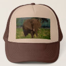 Pesquisar por do elefante bones Animal