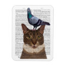 Pesquisar por pombos imas Aves