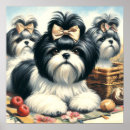 Pesquisar por shih tzu pôsteres pósteres Cães